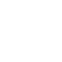 Logo Agencia ágil (boa) (4)